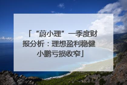 “蔚小理”一季度财报分析：理想盈利稳健 小鹏亏损收窄